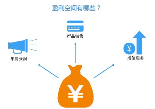 魚袋營銷軟件 店鋪裝修與產(chǎn)品圖片的網(wǎng)絡(luò)技術(shù)服務(wù)